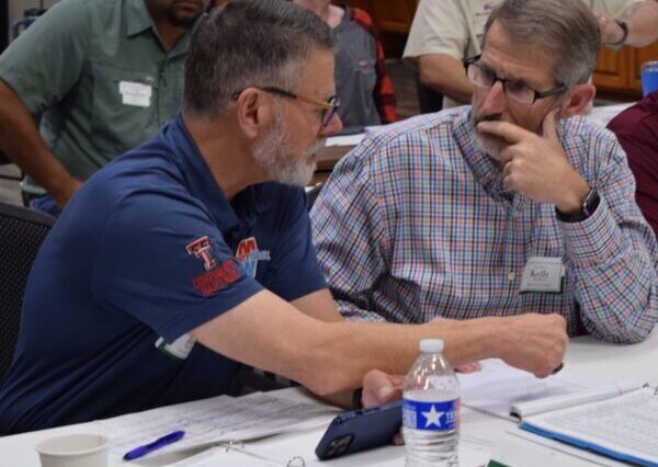 workshop attendees working together